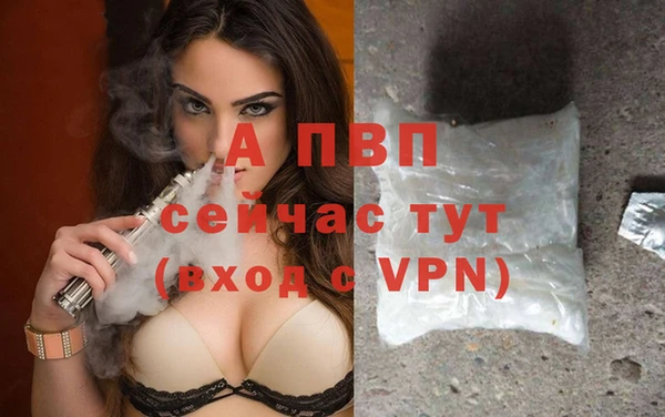 СК Рославль