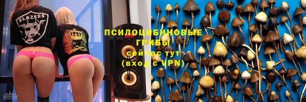 СК Рославль