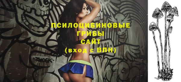 СК Рославль