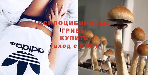 прущий лед Россошь